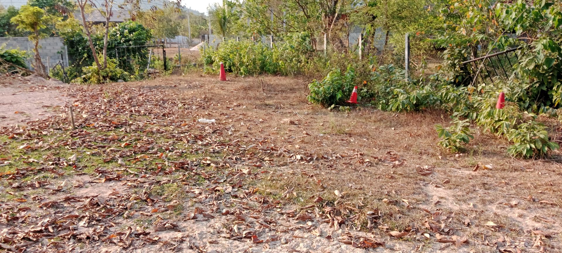 Site preparation, early 2026